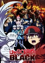 Poster for anime Cells at Work! CODE BLACK!