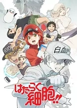Poster for anime Cells at Work!!