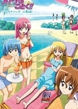 Poster for anime Hayate no Gotoku!!: Atsu ga Natsuize - Mizugi-hen!