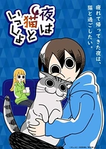 Nights with a Cat