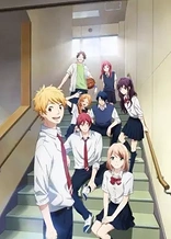 Poster for anime Nijiiro Days: Houkago Special