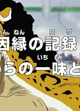 One Piece: The Log of the Rivalry! The Straw Hats vs. Cipher Pol