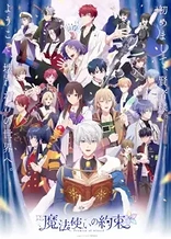 Poster for anime Promise of Wizard