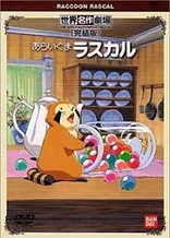 Raccoon Rascal