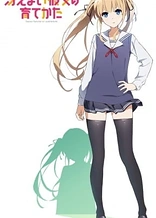 Poster for anime Saekano: Fan Service of Love and Youth