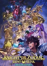 Saint Seiya: Knights of the Zodiac - Battle for Sanctuary Part 2