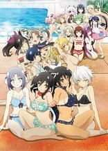 Poster for anime Senran Kagura Estival Versus: Mizugi-darake no Zenyasai