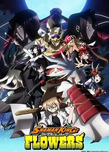 Poster for anime Shaman King: Flowers