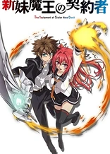 Poster for anime The Testament of Sister New Devil OVA