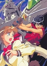 Poster for anime The Vision of Escaflowne
