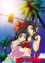 You're Under Arrest: No Mercy!!