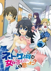 Poster for anime And you thought there is never a girl online?