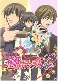 Poster for anime Junjo Romantica 2