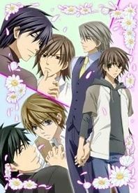 Poster for anime Junjo Romantica