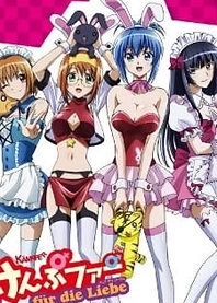Poster for anime Kämpfer für die Liebe