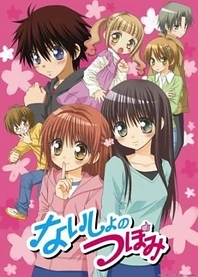 Poster for anime Naisho no Tsubomi