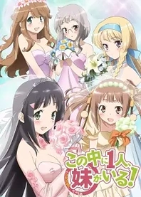Poster for anime NAKAIMO - My Little Sister Is Among Them!