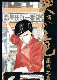 Poster for anime Naki no Ryuu: Hiryuu no Shou (1991)
