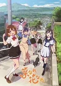 Poster for anime Narenare -Cheer for You!-