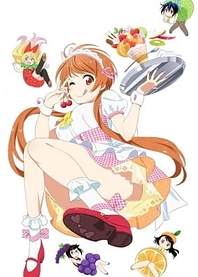 Poster for anime Nisekoi OVA