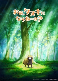 Poster for anime Omae, Tanuki ni Naranee ka?