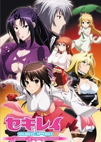 Poster for anime Sekirei: Pure Engagement