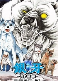 Poster for anime Silver Fang