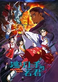 Poster for anime The Elusive Samurai
