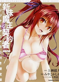 Poster for anime The Testament of Sister New Devil: Burst OVA