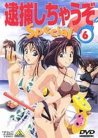 Poster for anime You're Under Arrest: Diverting Traffic at the Beach
