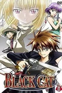 Poster for anime Black Cat