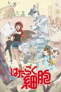 Poster for anime Cells at Work!