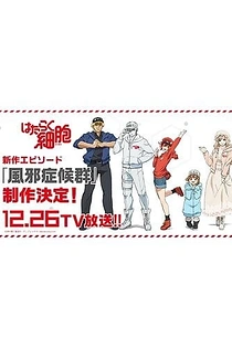 Poster for anime Cells at Work!: The Common Cold