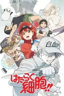 Poster for anime Cells at Work!!