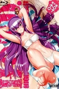 Poster for anime High School of the Dead: Drifters of the Dead