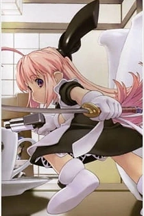 Poster for anime Ichigeki Sacchuu!! Hoihoi-san