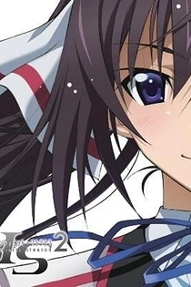 Poster for anime IS: Infinite Stratos 2 - Hitonatsu no Omoide