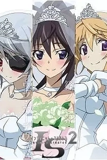 Poster for anime IS: Infinite Stratos 2 - Infinite Wedding