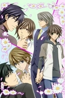 Poster for anime Junjo Romantica