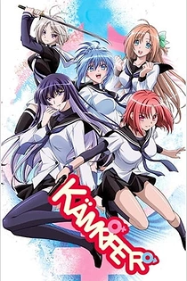 Poster for anime Kämpfer