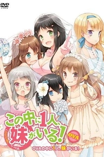 Poster for anime Kono Naka ni Hitori, Imouto ga Iru!: Ani, Imouto, Koibito