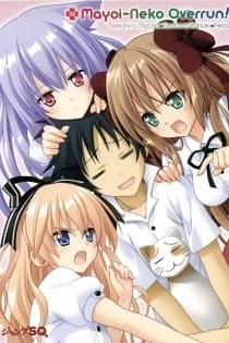 Poster for anime Mayoi Neko Overrun! Specials