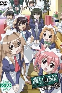 Poster for anime My Bride is a Mermaid OVA