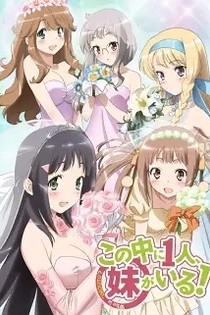 Poster for anime NAKAIMO - My Little Sister Is Among Them!