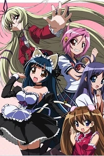 Poster for anime Penguin Musume♥Heart