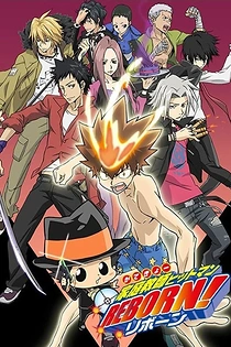 Poster for anime Reborn!