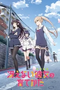 Poster for anime Saekano: How to Raise a Boring Girlfriend