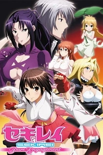 Poster for anime Sekirei: Pure Engagement