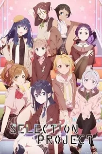 Poster for anime Selection Project