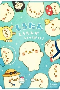 Poster for anime Shirotan: Shirotan ga Ippai!